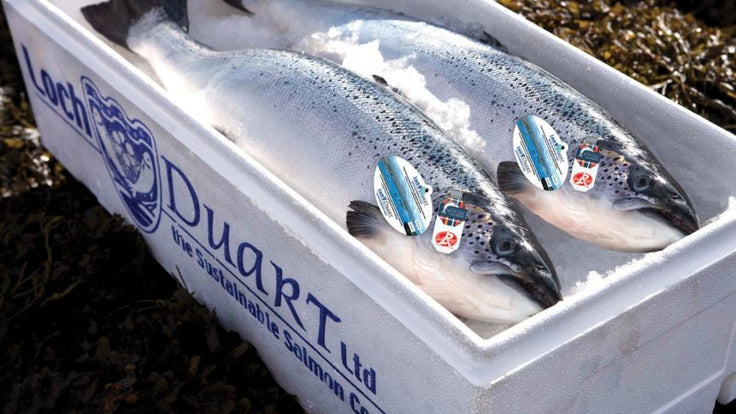 6 benefits of being a pescetarian