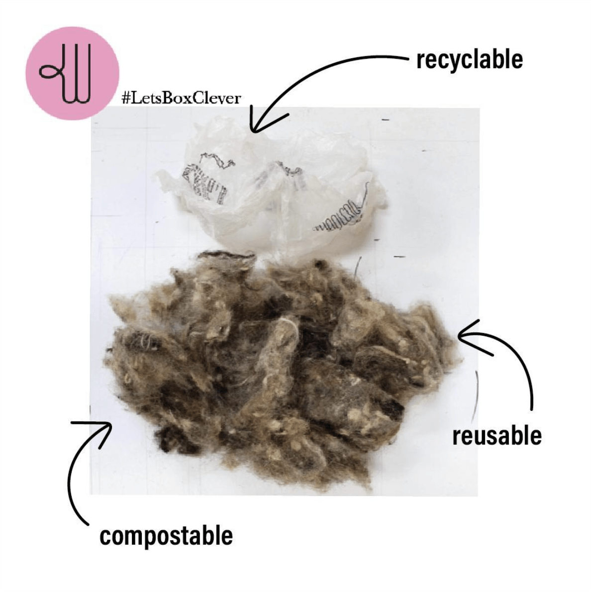 Image showing the inside of sustainable packaging by Wool Cool.